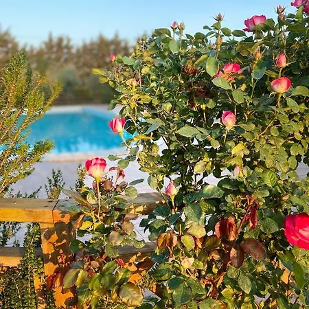Le Giare Feriegård Bagno Roselle